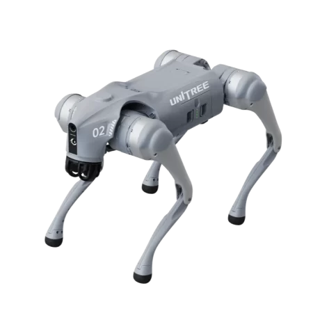 robot dog Go2